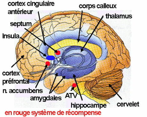 Laurent JAUDON | Transformation | Organisation apprenante