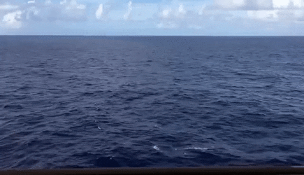 complexeocean Laurent JAUDON | Transformation | Organisation apprenante