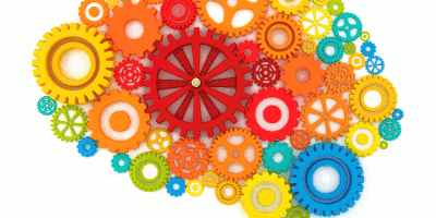 cerveau complexe Laurent JAUDON | Transformation | Organisation apprenante