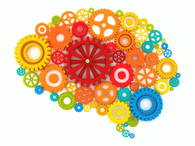 cerveau complexe Laurent JAUDON | Transformation | Organisation apprenante