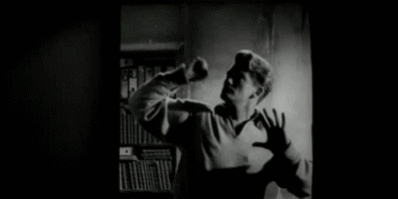 tumblr_2163c01b149b22564190de6f6d46eb87_de11b74b_400 identité