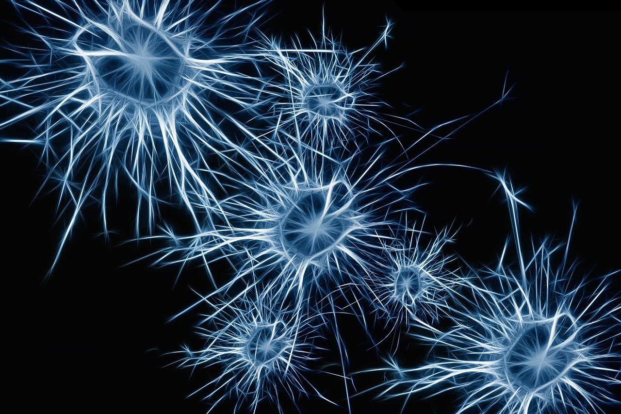 neurons-1773922_1280 wais qi wisc